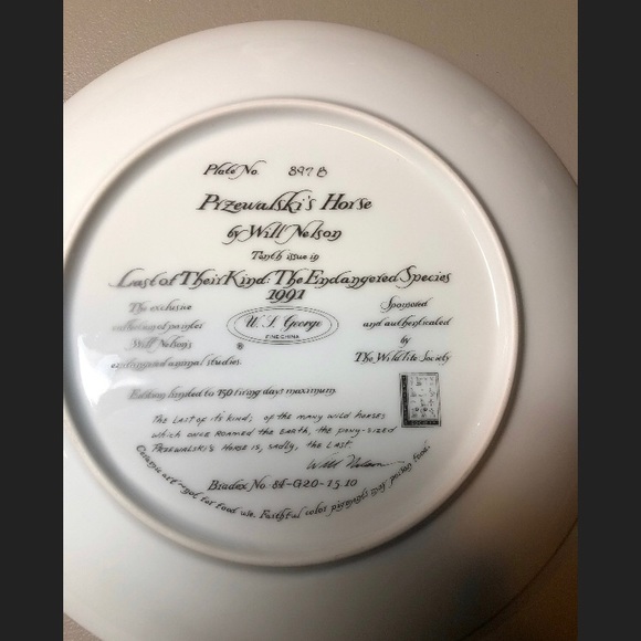 Przewalski’s Horse Bradford Exchange Plate - Picture 4 of 7